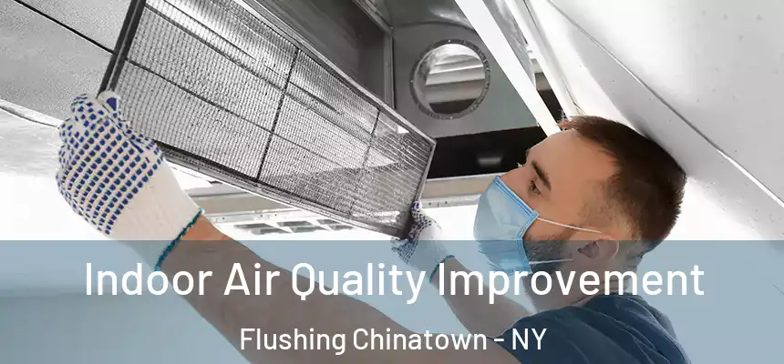  Indoor Air Quality Improvement Flushing Chinatown - NY