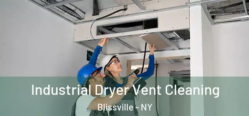 Industrial Dryer Vent Cleaning Blissville - NY