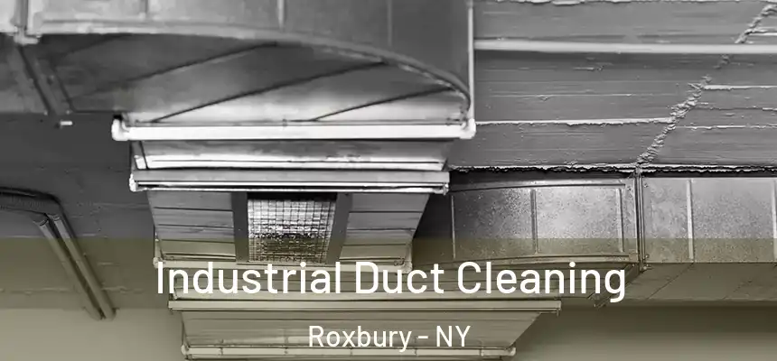 Industrial Duct Cleaning Roxbury - NY