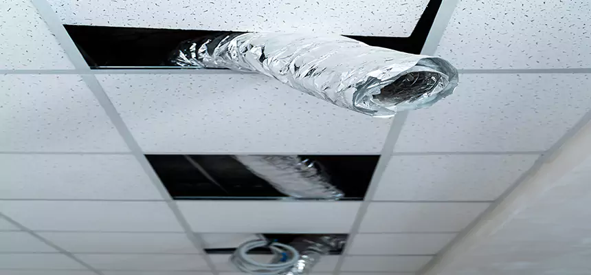 Affordable HVAC Sanitizing After Pest Removal in Queens