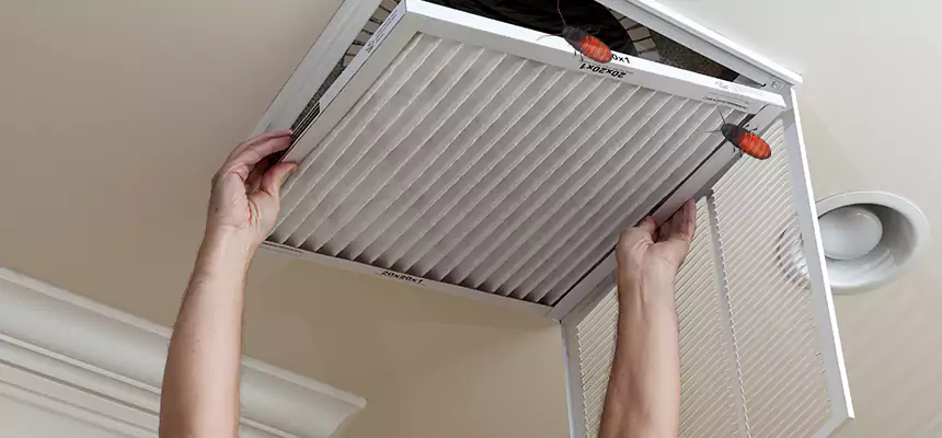 Our Insect Removal from Air Ducts Services in Queens, NY
