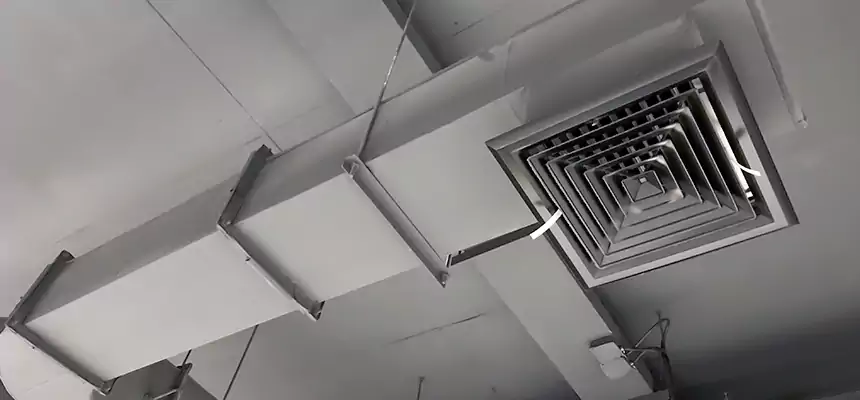 Our Pest Removal From Ducts Services in Queens, NY