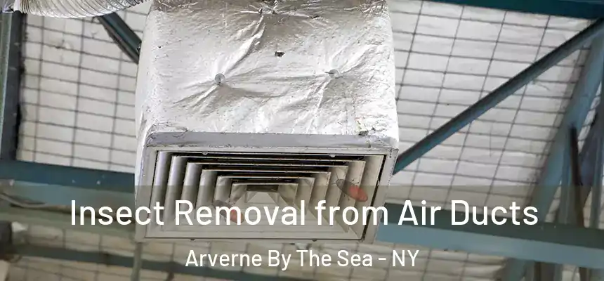 Insect Removal from Air Ducts Arverne By The Sea - NY
