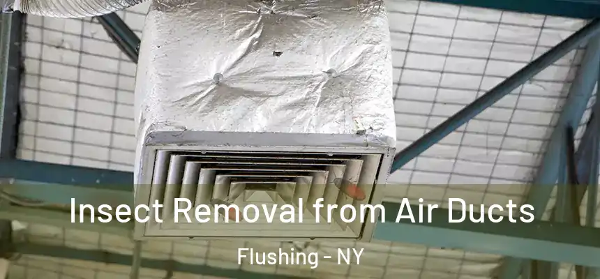  Insect Removal from Air Ducts Flushing - NY