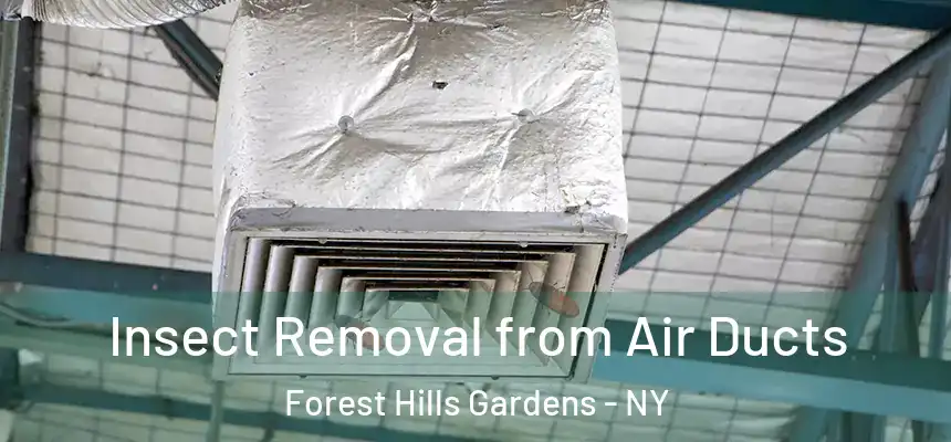  Insect Removal from Air Ducts Forest Hills Gardens - NY
