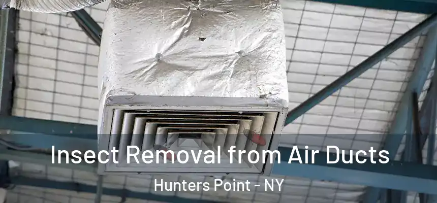  Insect Removal from Air Ducts Hunters Point - NY