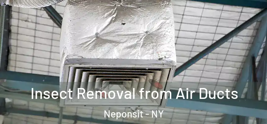 Insect Removal from Air Ducts Neponsit - NY