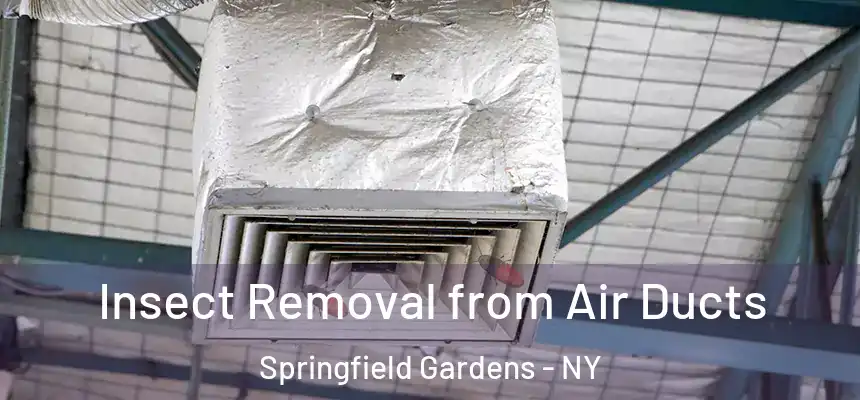 Insect Removal from Air Ducts Springfield Gardens - NY