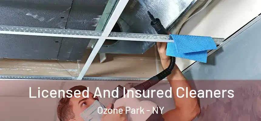 Licensed And Insured Cleaners Ozone Park - NY