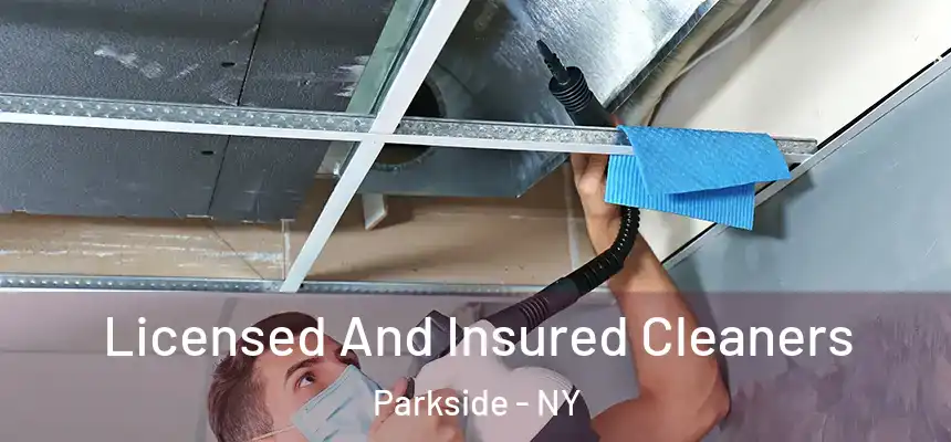 Licensed And Insured Cleaners Parkside - NY