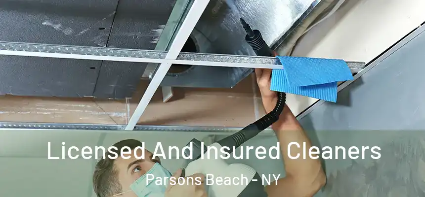Licensed And Insured Cleaners Parsons Beach - NY