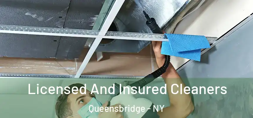  Licensed And Insured Cleaners Queensbridge - NY