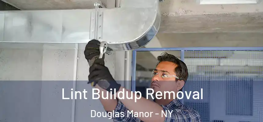 Lint Buildup Removal Douglas Manor - NY