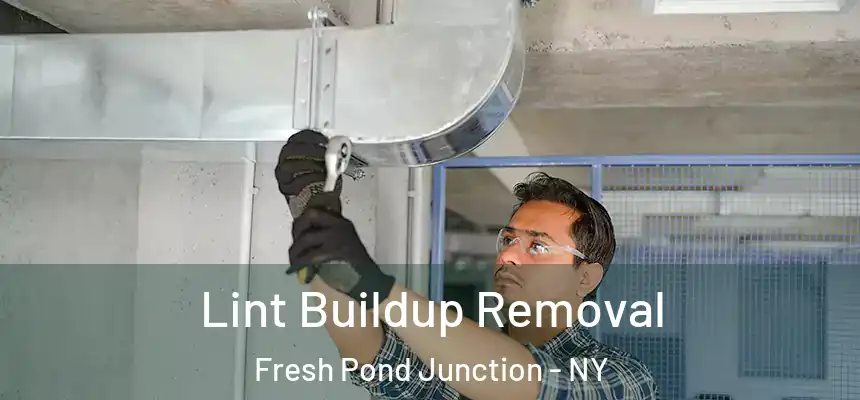 Lint Buildup Removal Fresh Pond Junction - NY