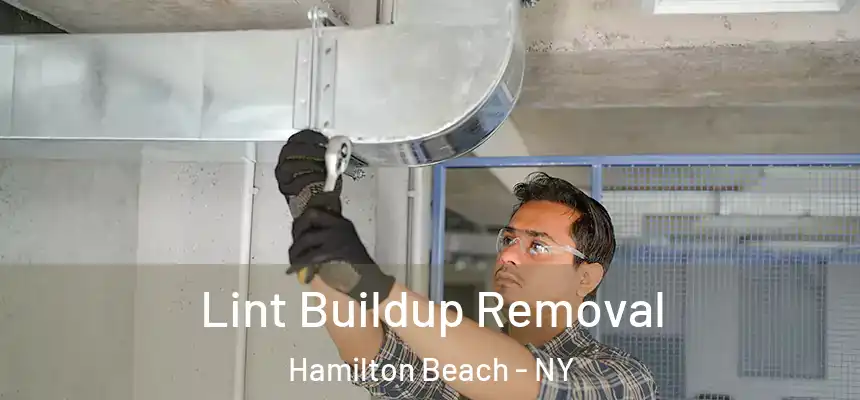  Lint Buildup Removal Hamilton Beach - NY