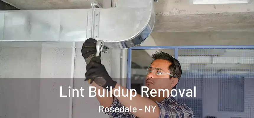 Lint Buildup Removal Rosedale - NY