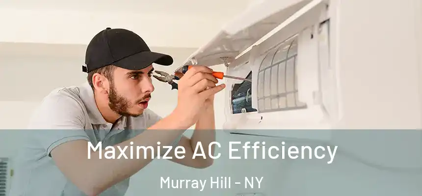  Maximize AC Efficiency Murray Hill - NY