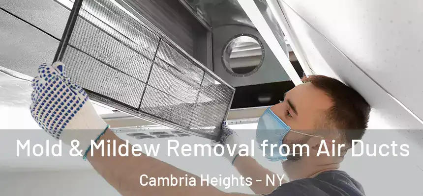  Mold & Mildew Removal from Air Ducts Cambria Heights - NY