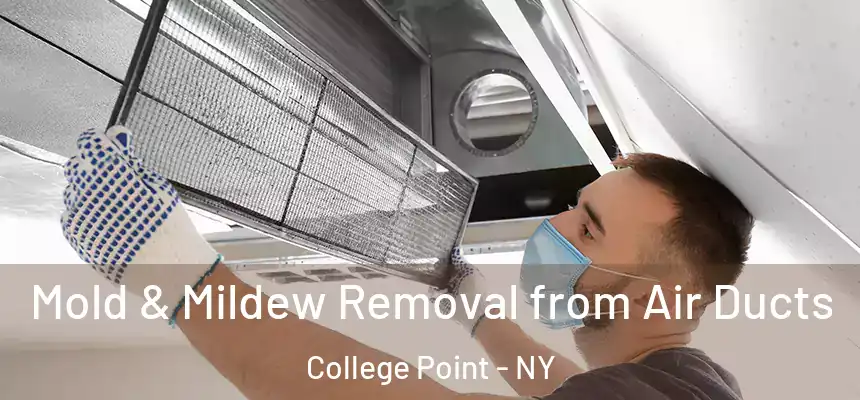 Mold & Mildew Removal from Air Ducts College Point - NY