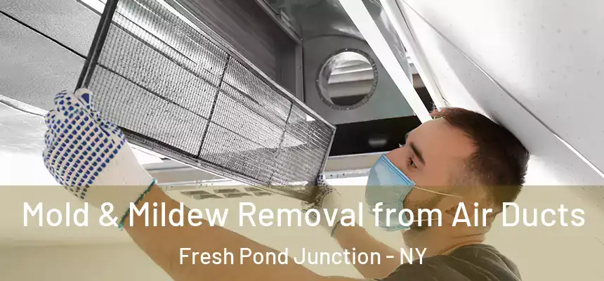  Mold & Mildew Removal from Air Ducts Fresh Pond Junction - NY