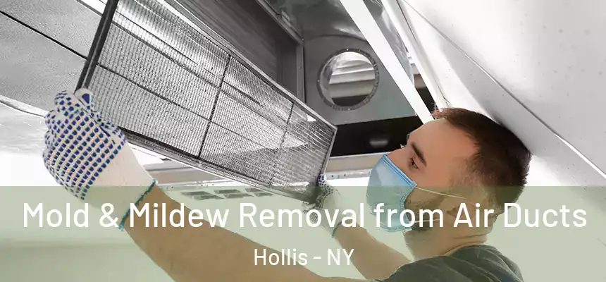  Mold & Mildew Removal from Air Ducts Hollis - NY