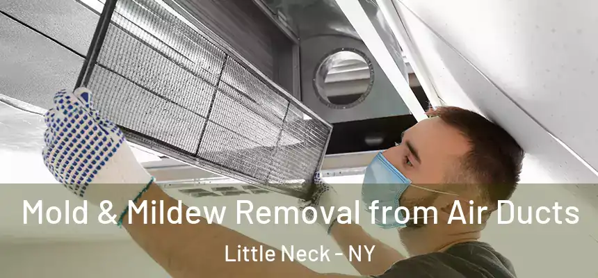  Mold & Mildew Removal from Air Ducts Little Neck - NY