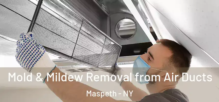 Mold & Mildew Removal from Air Ducts Maspeth - NY