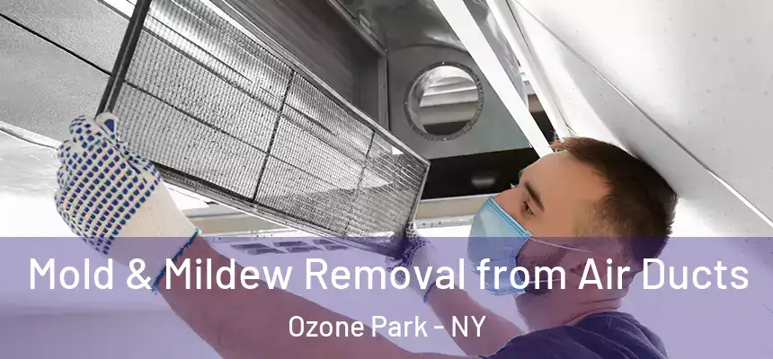 Mold & Mildew Removal from Air Ducts Ozone Park - NY