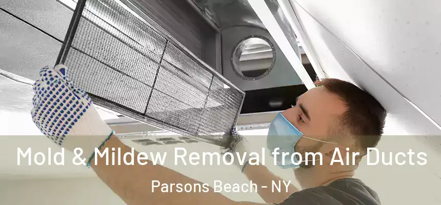  Mold & Mildew Removal from Air Ducts Parsons Beach - NY