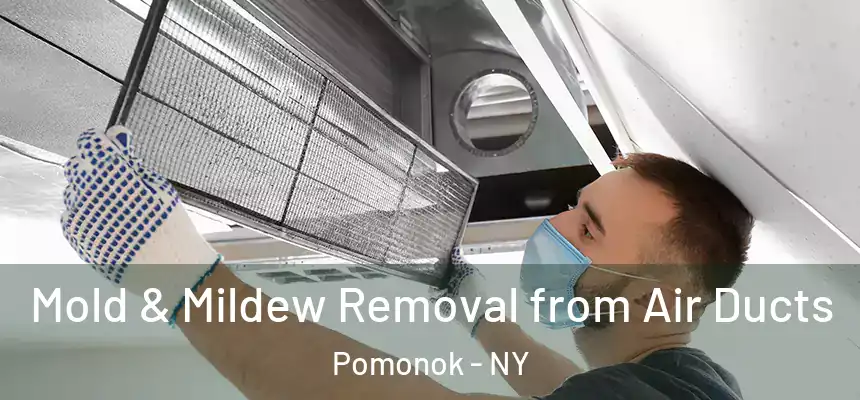 Mold & Mildew Removal from Air Ducts Pomonok - NY