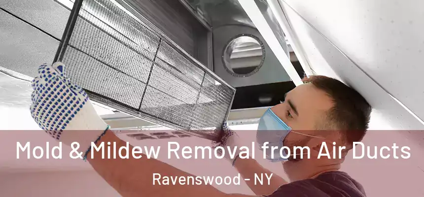  Mold & Mildew Removal from Air Ducts Ravenswood - NY