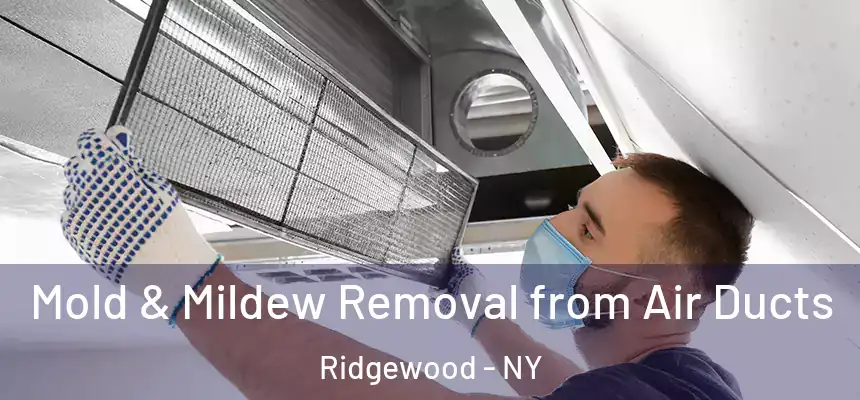  Mold & Mildew Removal from Air Ducts Ridgewood - NY
