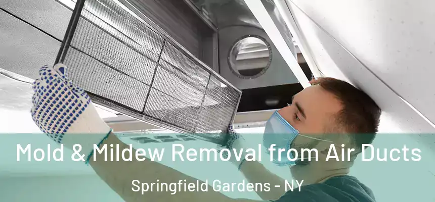 Mold & Mildew Removal from Air Ducts Springfield Gardens - NY