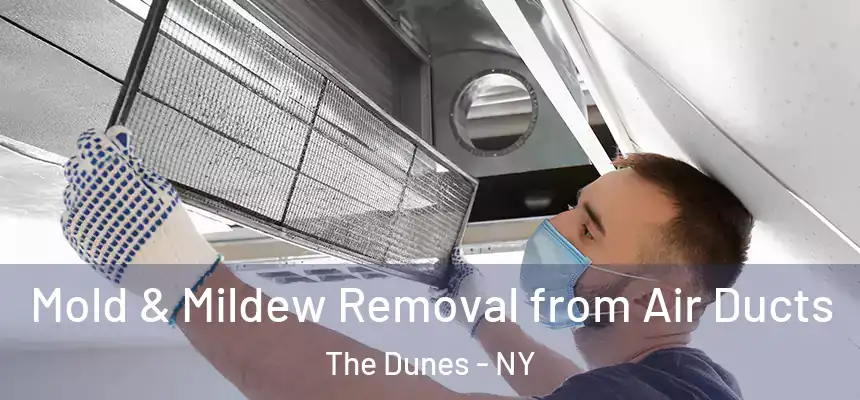 Mold & Mildew Removal from Air Ducts The Dunes - NY