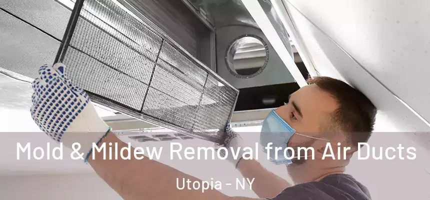 Mold & Mildew Removal from Air Ducts Utopia - NY