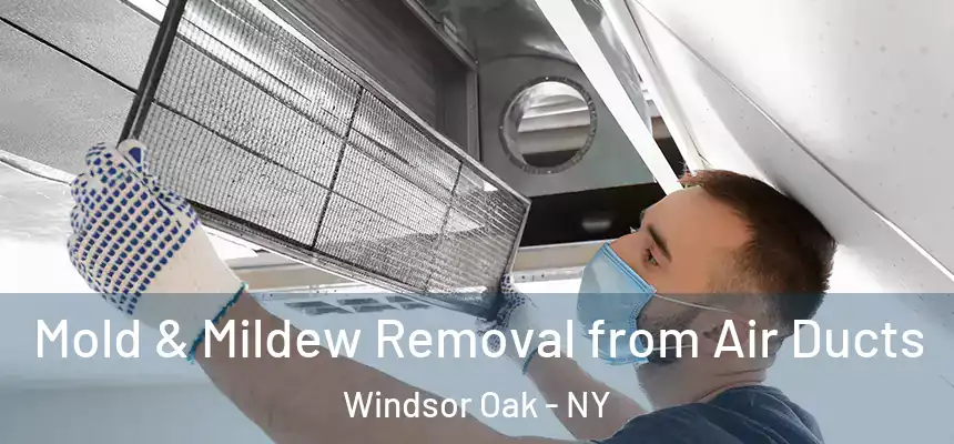  Mold & Mildew Removal from Air Ducts Windsor Oak - NY