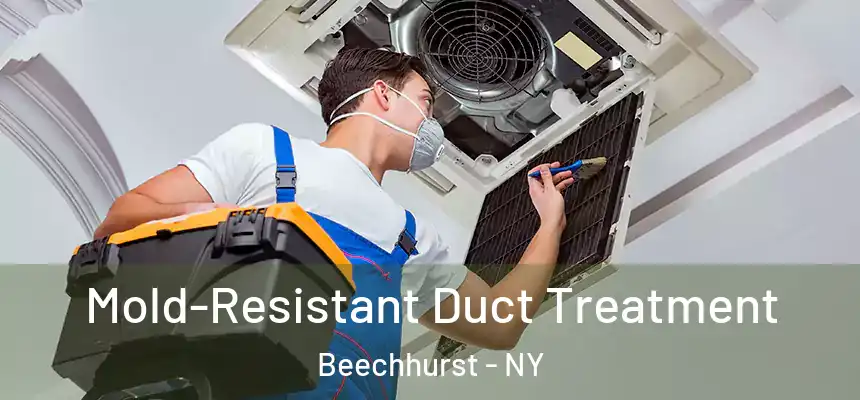 Mold-Resistant Duct Treatment Beechhurst - NY