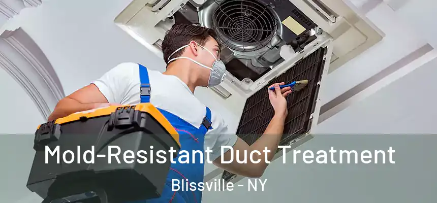  Mold-Resistant Duct Treatment Blissville - NY