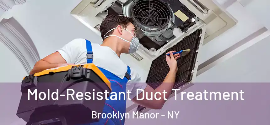  Mold-Resistant Duct Treatment Brooklyn Manor - NY