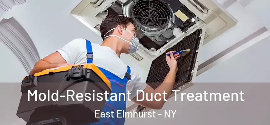  Mold-Resistant Duct Treatment East Elmhurst - NY