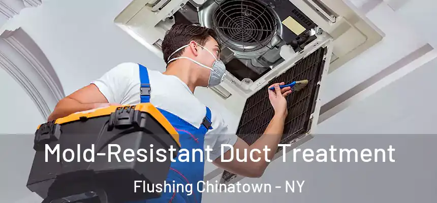 Mold-Resistant Duct Treatment Flushing Chinatown - NY