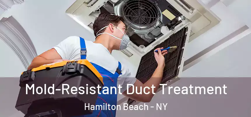  Mold-Resistant Duct Treatment Hamilton Beach - NY