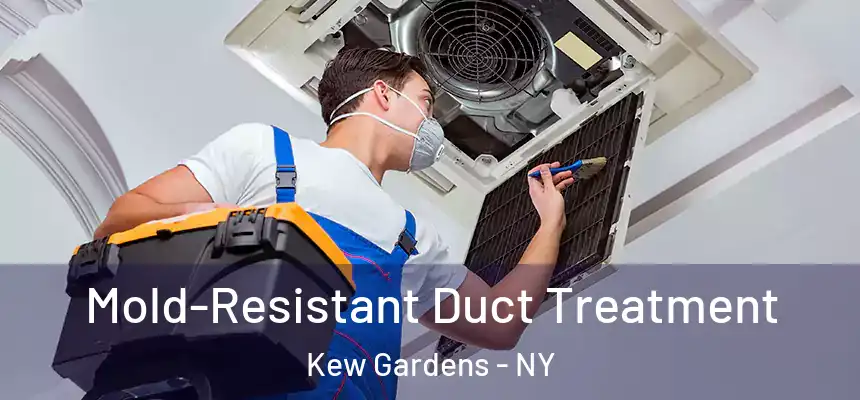  Mold-Resistant Duct Treatment Kew Gardens - NY