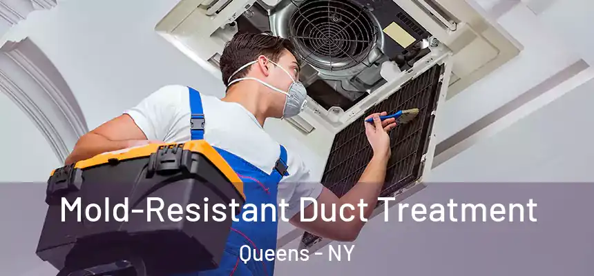 Mold-Resistant Duct Treatment Queens - NY