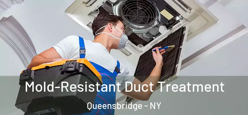 Mold-Resistant Duct Treatment Queensbridge - NY