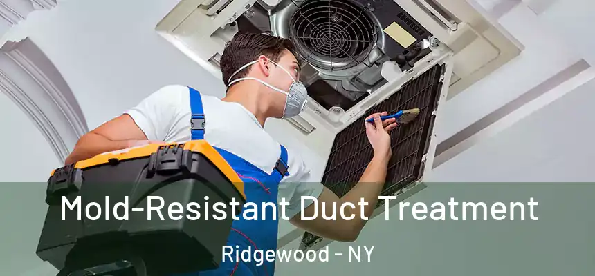  Mold-Resistant Duct Treatment Ridgewood - NY