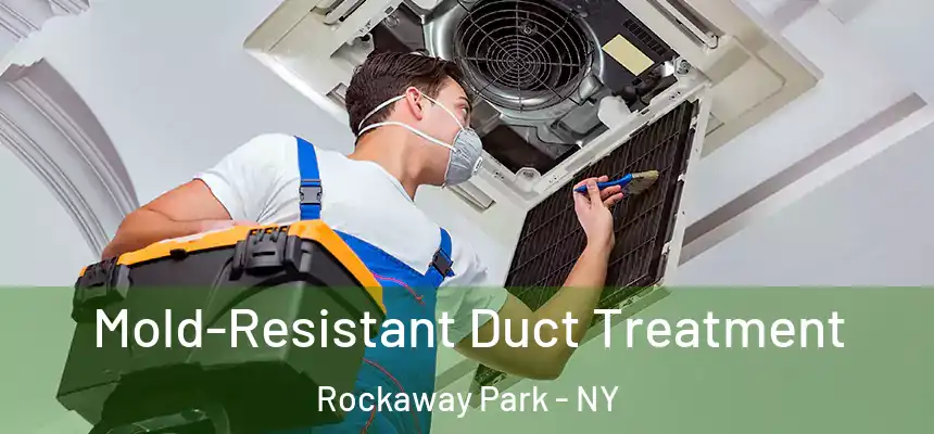  Mold-Resistant Duct Treatment Rockaway Park - NY