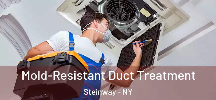  Mold-Resistant Duct Treatment Steinway - NY