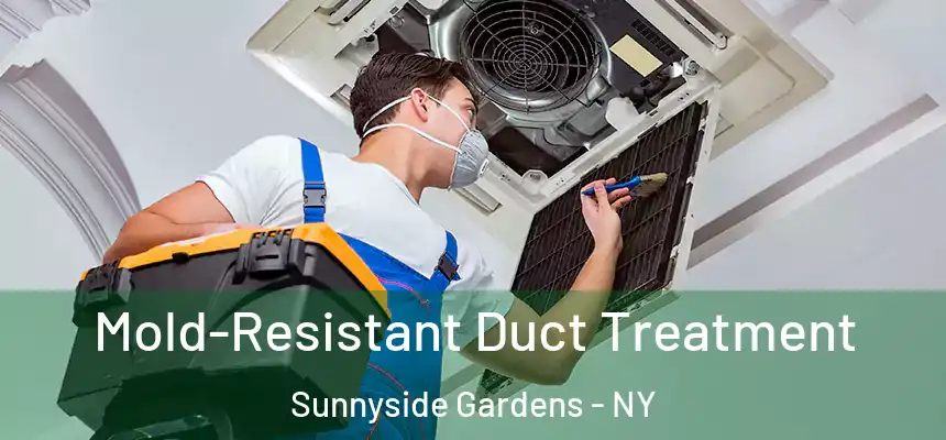 Mold-Resistant Duct Treatment Sunnyside Gardens - NY