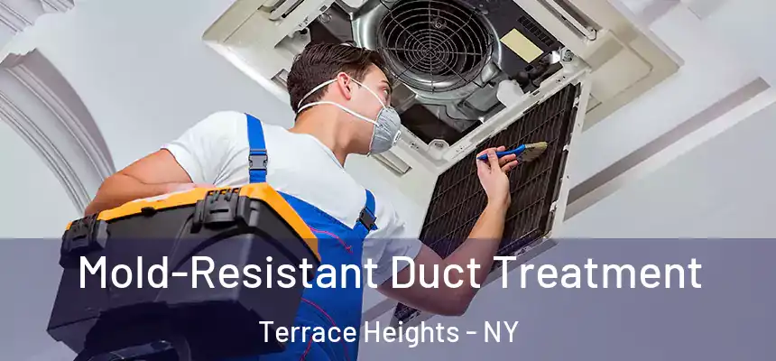 Mold-Resistant Duct Treatment Terrace Heights - NY